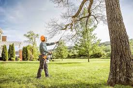 How Our Tree Care Process Works  in  Veazie, ME